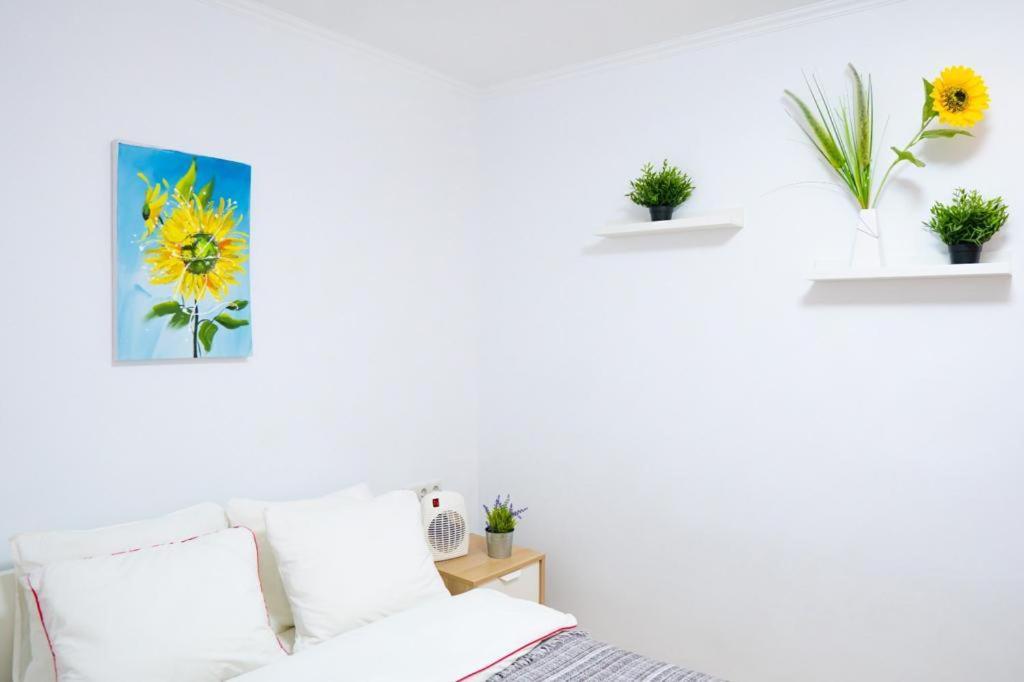 Sollana 18 Apartment Valencia Bagian luar foto
